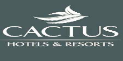 CACTUS HOTELS Copy